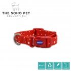 Ancol Soho Star Adjustable Dog Collar