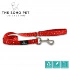 Ancol Soho Star Patterned Dog Lead