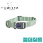 Ancol Soho Stripe Adjustable Dog Collar