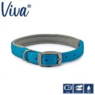 Ancol Padded Viva Collar Blue