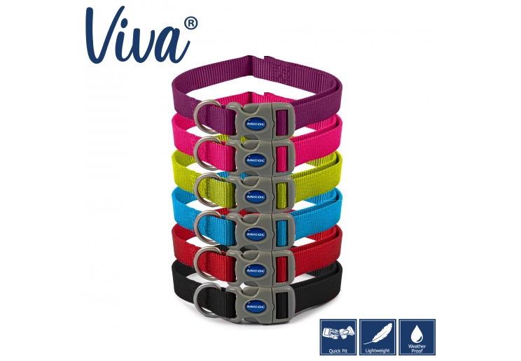 Ancol Viva Adjustable Collar Purple - Image 3