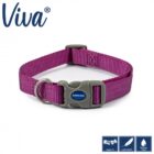 Ancol Viva Adjustable Collar Purple
