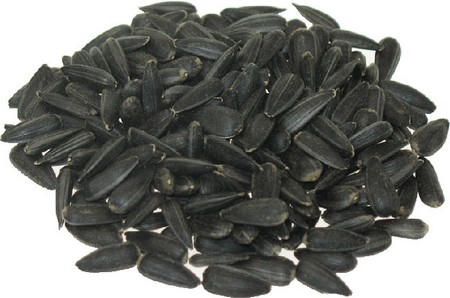 Harrisons Black Sunflower 12.75kg - Image 2