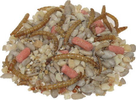 Harrisons Robin Energy Blend with Mealworms 12.75kg - Image 2