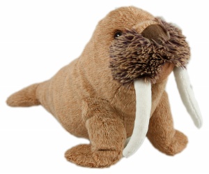 Animal instincts Winston Walrus