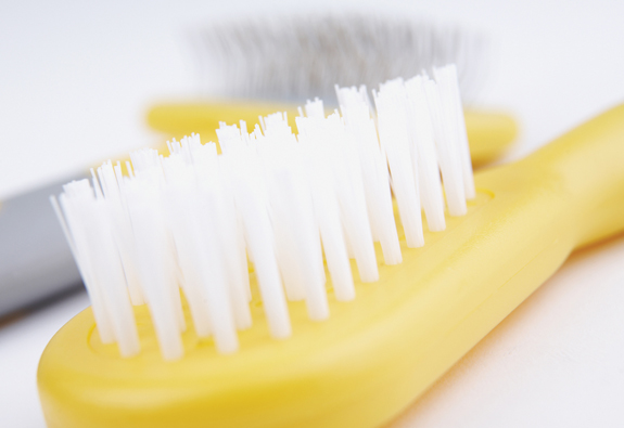 Ancol Small Animal Bristle Brush - Image 2