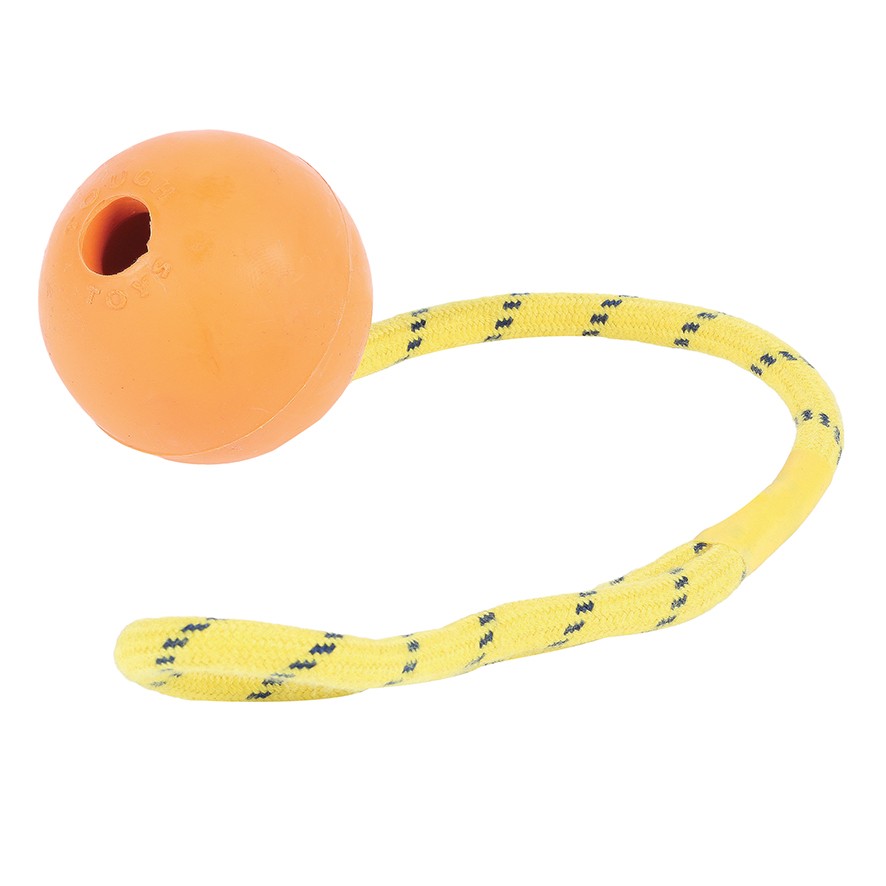 Happy Pet Rope Ball Floater