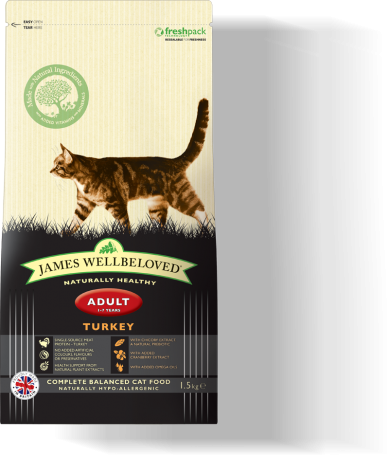 James Wellbeloved Turkey Adult Cat