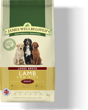 James Wellbeloved Lamb & Rice Large Breed